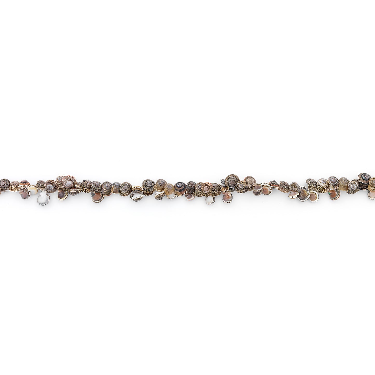 BD51798
