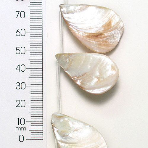 BD53592