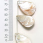 BD53592