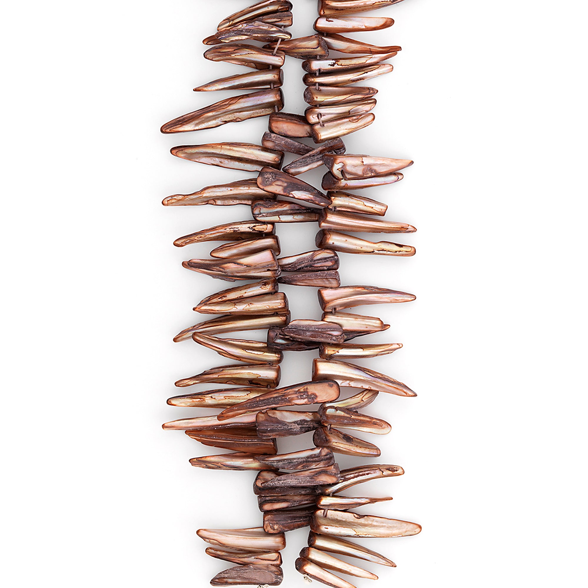 Sea Shell Spike Beads 16